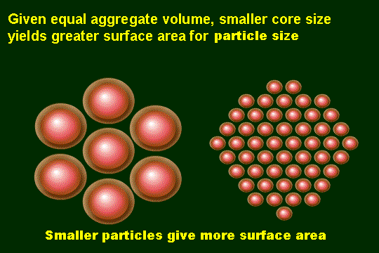 surface area and bio-activity